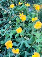 WhatsApp Image 2025-12-03 at 15-26-51 (3).jpeg